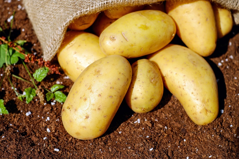 Krokante rösti van aardappel voor bij de maaltijd of als snack